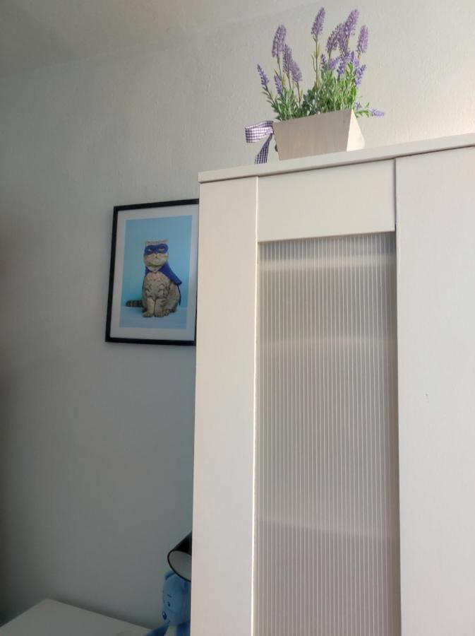Single Room No.4 In The Very Center Of Βαρσοβία Εξωτερικό φωτογραφία